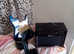 Aria guitar with amp, lead and headphones