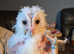 Baby barn owl