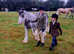 13.2 Hermits Cob Mare