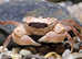 Eggstraordinary Offers for Easter and the whole of April