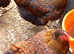 Various Purebreed Chicken Hatching Eggs (LF)