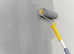 General Handyman, Repair/Maintenance and Painter/Decorator