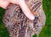 Quail Hatching Eggs for Sale - Celadon & Coturnix