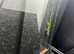 Young Day Gecko and Exo Terra Viv for sale