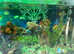 TROPICAL FISH AND FISH TANK 1200 x380 x380 With all Accessories and Filter Pump