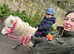 Kids Shetland Pony for loan