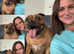 ABSOLUTELY PAWSOME LTD - LUXURY HOME DOG BOARDING & DAYCARE