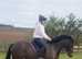 Beautiful Welsh d for sale