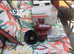 Caravan alko hitch lock