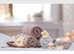 Full body relaxing massage in Whitburn