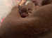 KC Registered XXX Small Tea cup Apple Head Chihuahua lilac Tri Ready to go to there forever homes