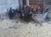 Bluebell p.o.l hens for sale