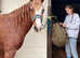 Sidney a very flashy Welsh D driving pony