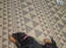 Female rottweiler