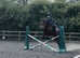Looking for 14.2/15.2hh 13years + gelding any breed