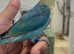 Love bird parblue