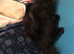 Cat need to be rehomed