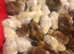 Chicks