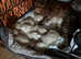 Snow mink kittens
