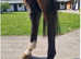 Head turning American bred Gelding