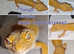 Various leopard geckos for sale