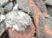 Asbestos Removal London Free Quote Site Visit
