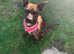 URGENT HOME NEEDED 13 month old female staff x Dutch shepherd