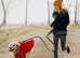 Hand Free Dog Lead Reflective Bungee Dog Lead For Running Dog Leash UK