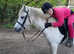 Sharer wanted for our sweet pony