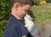 Baby Rabbits