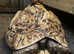 Baby leopard tortoise