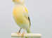 Canaries