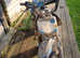 Kids 90cc scrambler