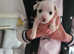 My beautiful girl give birth to 3 gorgeous boys they are now 4 weeks old and coming along great