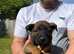 Lovely strong boys  all reserved