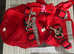 Dog Harness and lead set