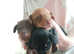 Miniture dachshund puppies