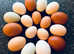 Hatching eggs for sale * traditional and rare breeds *