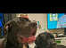 Stunning cane corso puppies