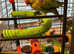 12 month old female Aleksandria parrot for sale £650 with a big cage.