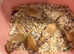 5 Baby gerbils