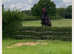 *QUALITY* Connemara Gelding - Showjumper, Hunter, Pony Club, Hacker