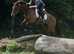 Beautiful 15.1hh allrounder