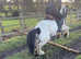 12.2 super cob