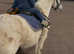 12.2 sweet kids gelding.