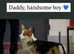 KC Pembrokeshire corgi. DNA tested parents