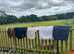 Dressage Numnahs - large/ full size vgc