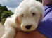 Kc Registered old English sheepdog pups