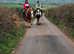 Traditional cob 14.3, passported