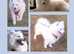 Japanese Spitz for stud only